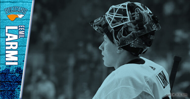 pelicans_emil_larmi-thumb800x420