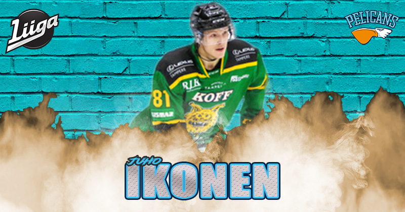 Pelicans_JuhoIkonen-pohja800x420