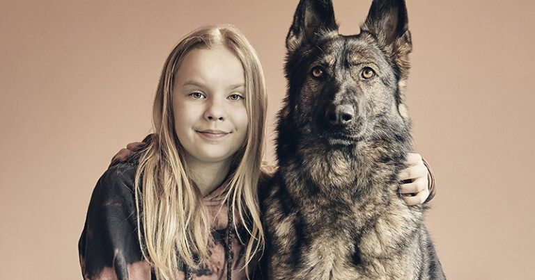 susikoira_roi_valo_elina_patrakka