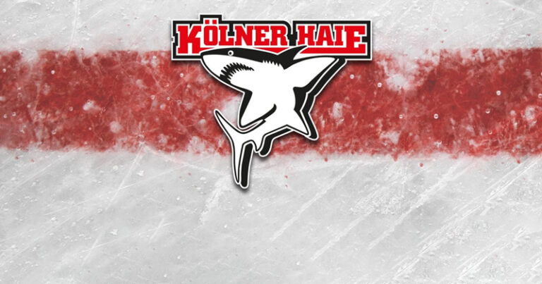 kolner_haie-thumb800x420