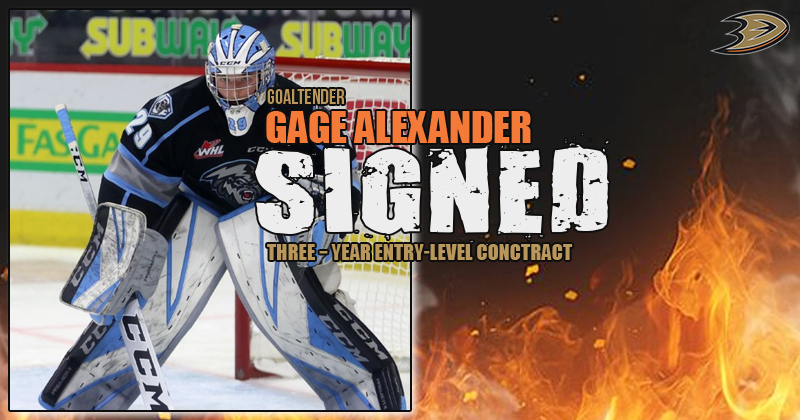 nhl-ana-gage-alexander-thumb800x420