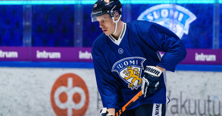 leijonat_waltteri_merela-thumb800x420