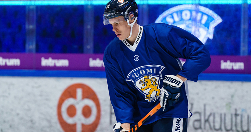 leijonat_waltteri_merela-thumb800x420