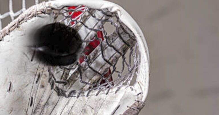 HockeyGoaliePuck-thumb800x420