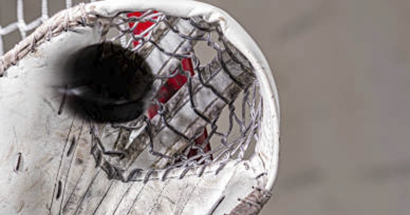 HockeyGoaliePuck-thumb800x420