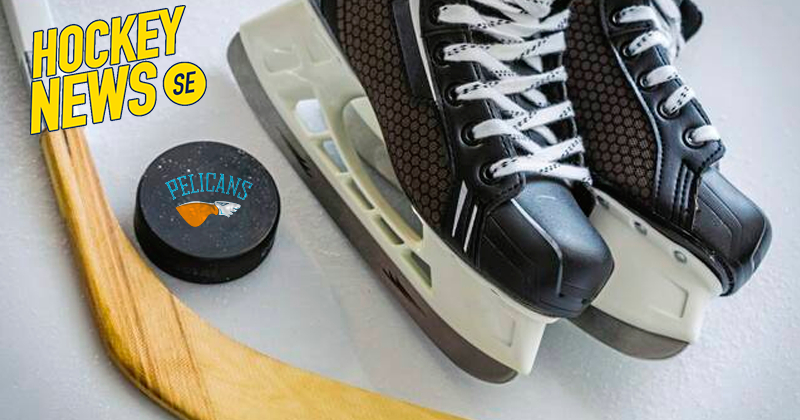 HockeyNews-Pelicans-thumb800x420