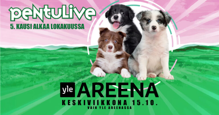 Pentulive-5kausi-thumb800x420