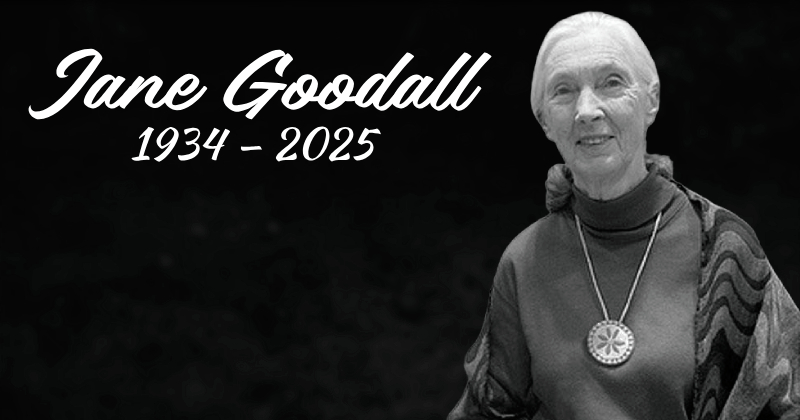 RIP-JaneGoodall1934-2025-thumb800x420