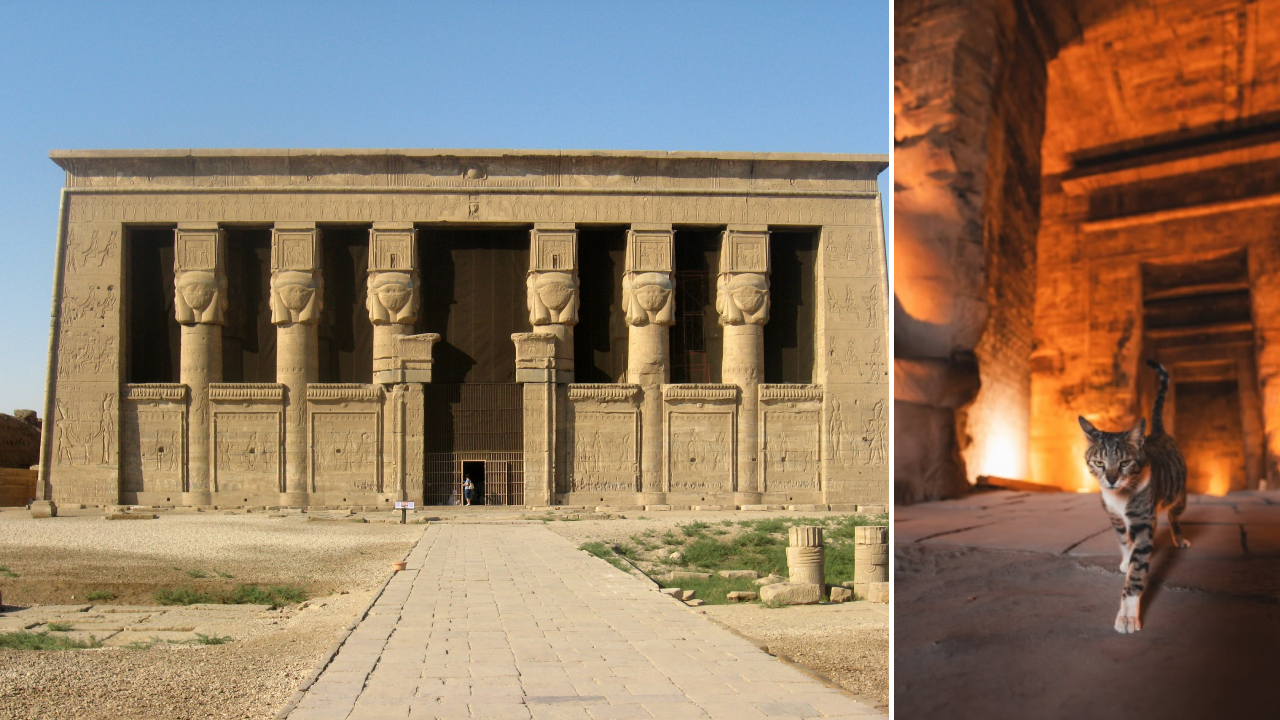 CeceCat_egypt-thumb1280x720