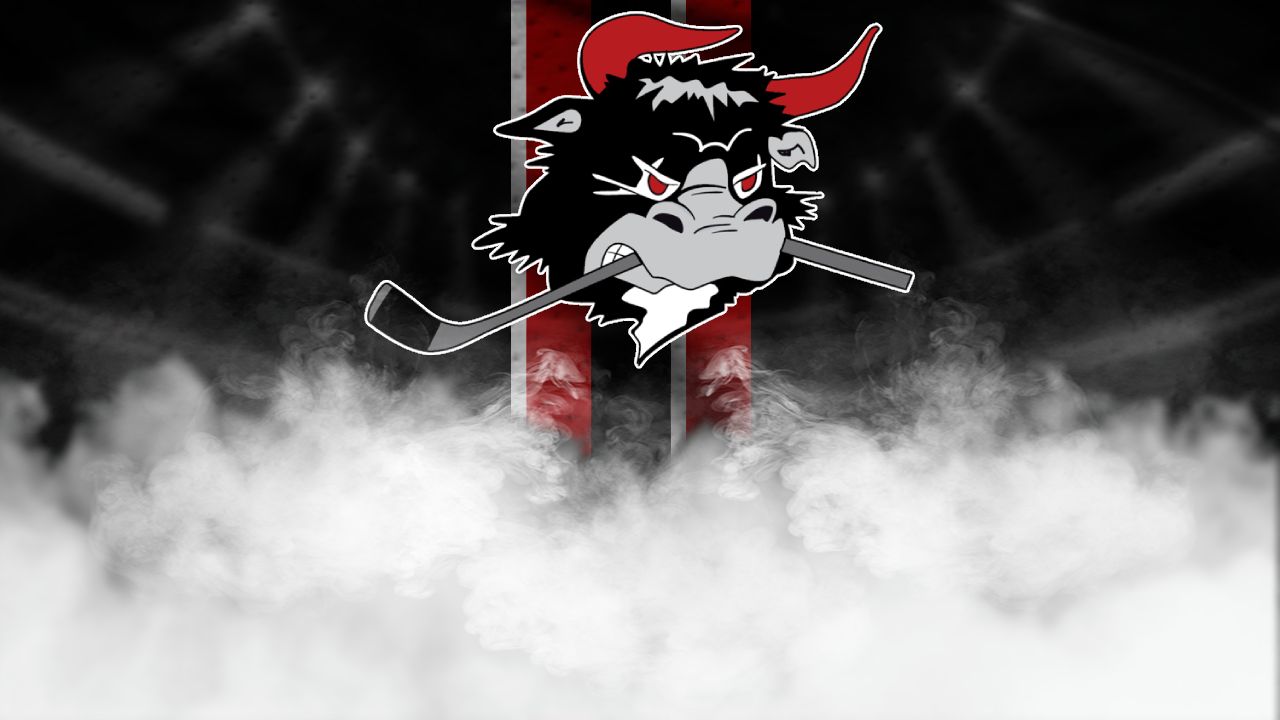 den_RødovreMightyBulls-thumb1280x720