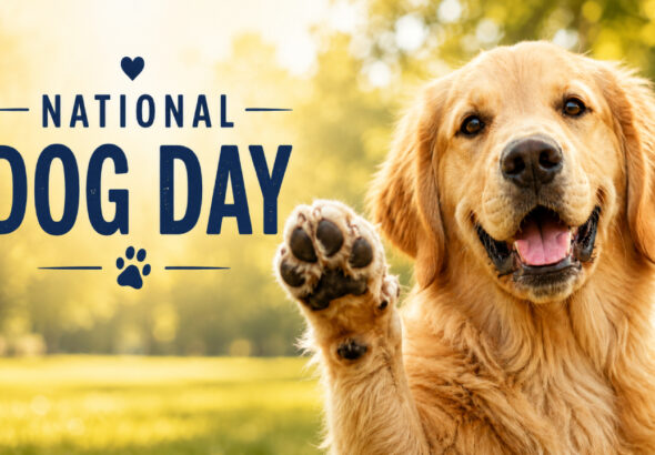 NationalDogDay2026-thumb1280x720