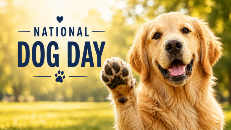 NationalDogDay2026-thumb1280x720