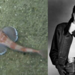 Moonwalk_fish-thumb1280x720
