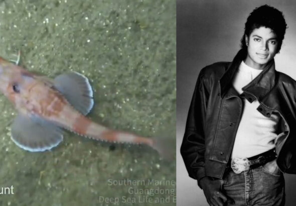 Moonwalk_fish-thumb1280x720