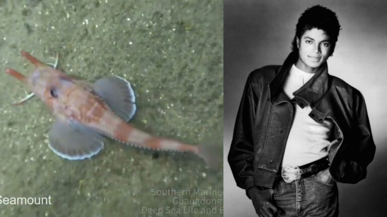 Moonwalk_fish-thumb1280x720